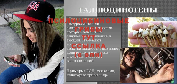 герыч Арсеньев